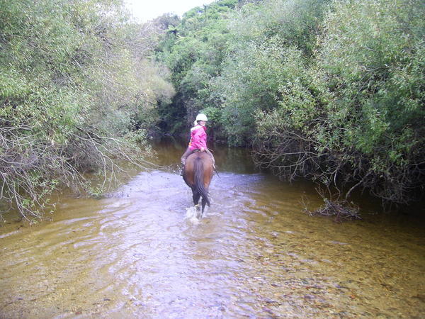 Riding through the creek