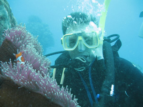 Dom next to an anemone with Nemo inside!