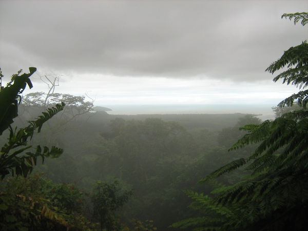 A view over the rainforest