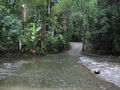The creek where we went swimming