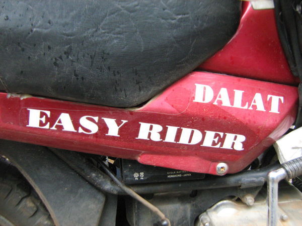 Easy Rider!
