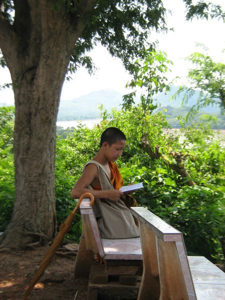 Monk reading peacefully