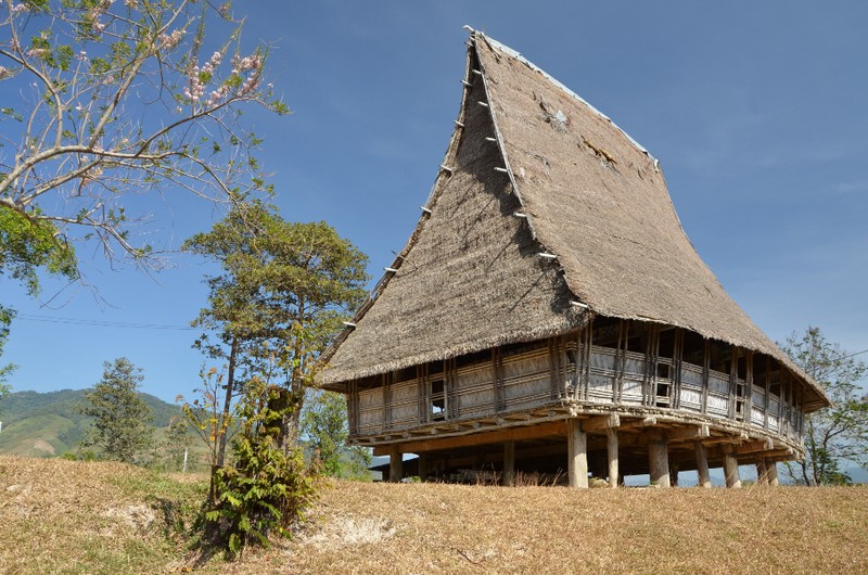 tradiční obecní sněmovní dům "rong"