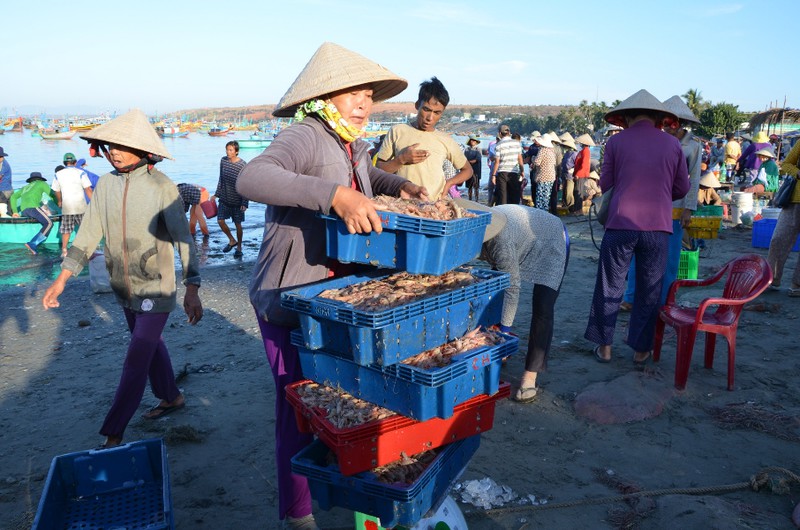 ranní trh s mořskými plody je jen pro ty se silnými žaludky