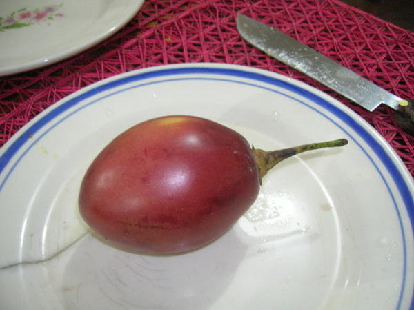 tomate de arból (saeuerlich)