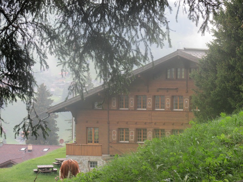 A bit of a foggy start. The building is the main chalet, where we are staying (on 2nd floor, obscured by the tree).