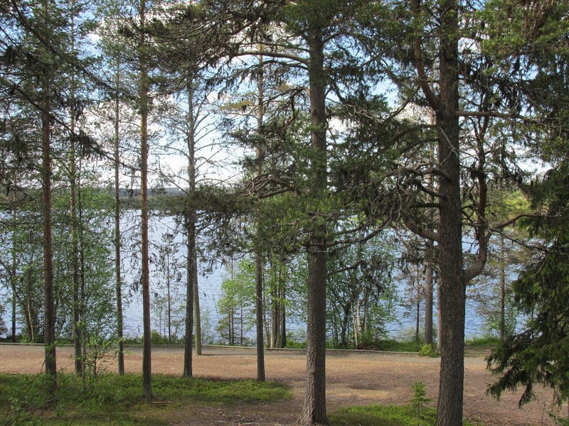 View from cabin - Lake Akaslompolo through the trees.