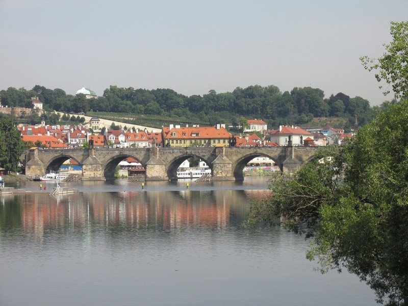 Looking down the Vltava river at the Charles Bridge.