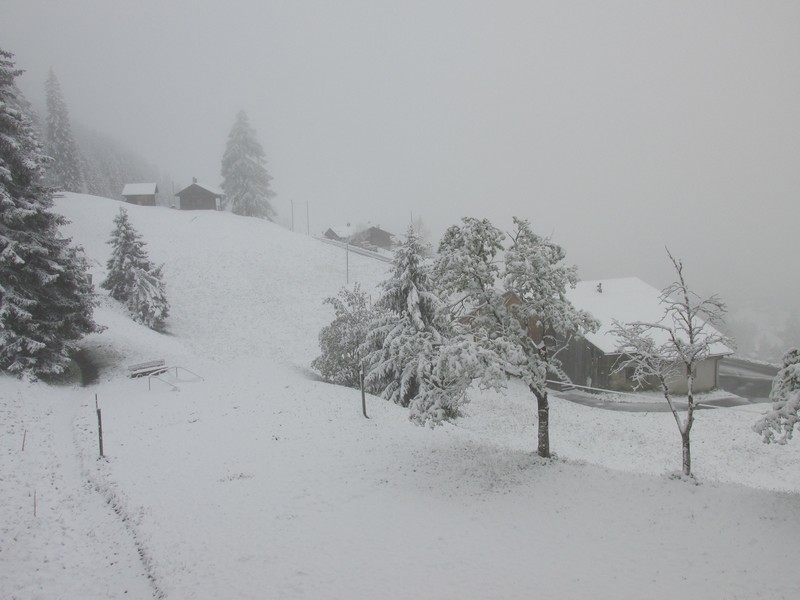 Waking up to snow in Adelboden was a definite highlight.