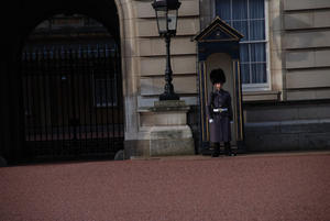 Lone guard at Buckingham Palace