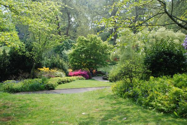 Garden at Darington