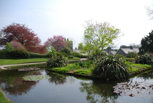Cotehele garden