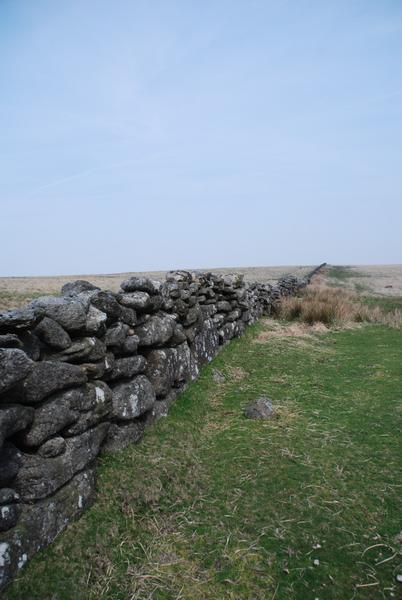 Ancient wall on the moor