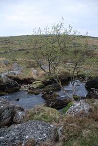 River on the moor