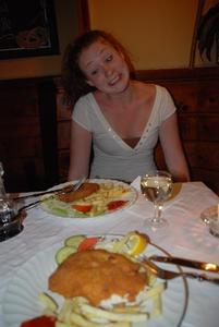 Dinner in Vienna
