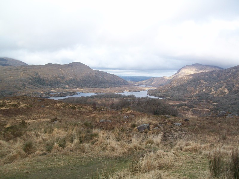 Lady's View in Killarney National Park