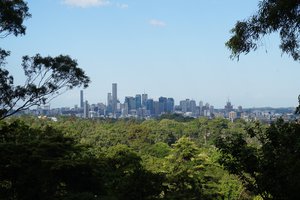 Brisbane Botanic Gardens Mount Coot-tha 