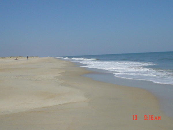 Cape Lookout island