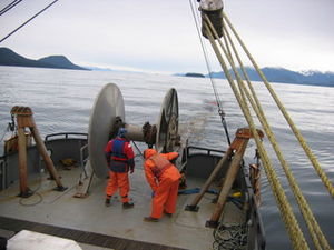 The trawling net