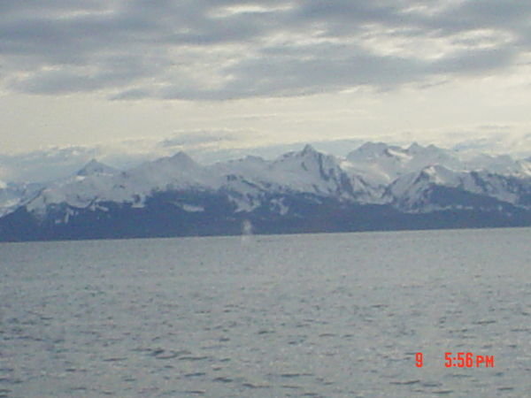 Pretty Alaskan mountains