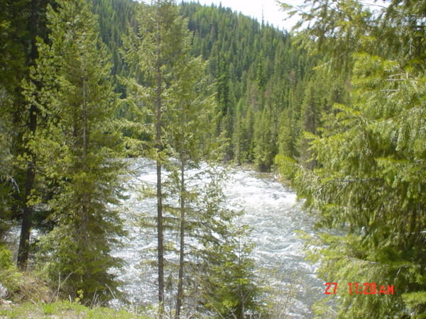 High Clearwater River in Idaho on the way to Lolo Pass