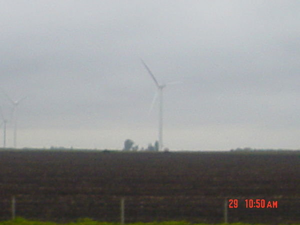 Metal windmills (energy collectors)...they were everywhere!!