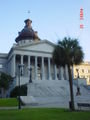 State House and Palmetto Tree