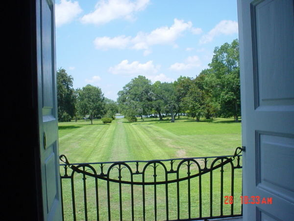 The view out the back door of Drayton