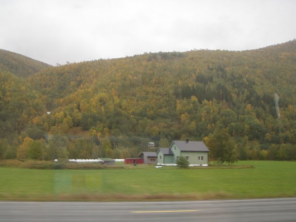 Norwegian countryside 4