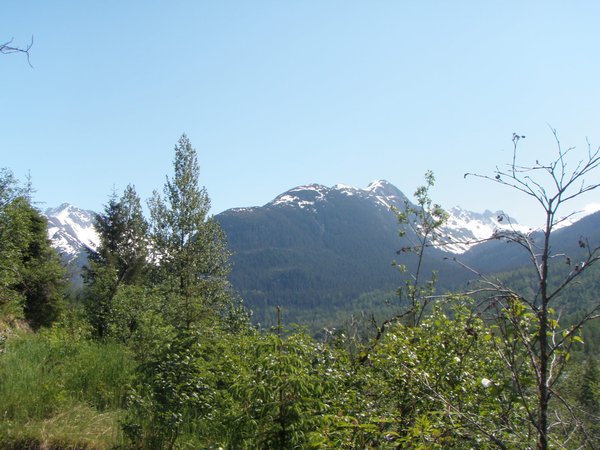 Herbert Glacier trail