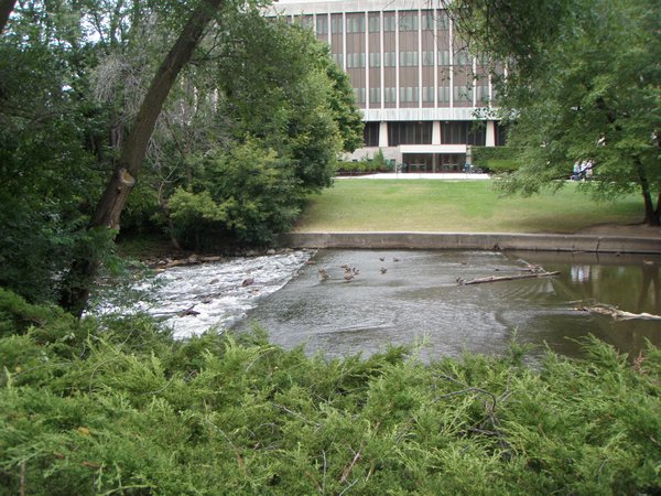 Red Cedar River that flows through campus