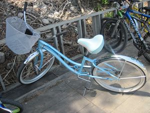 The one-speed Cruiser I rented