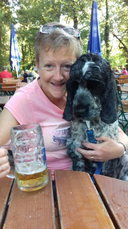 beer and dog