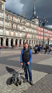 Plaza Mayor and spaniel