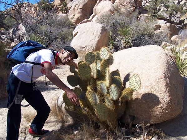 Cactus hugger