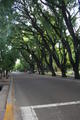 The tree lined streets!!!!!