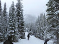 Snow Shoeing just out of Canmore