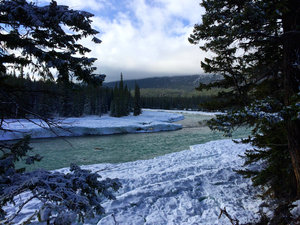 Athabasca River - Jasper