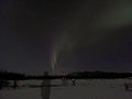 My attempt at capturing the Northern Lights. Does not do it justince! 