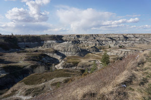 Horseshoe Canyon