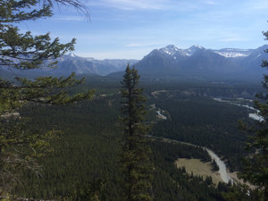 View from Tunnel Mountain