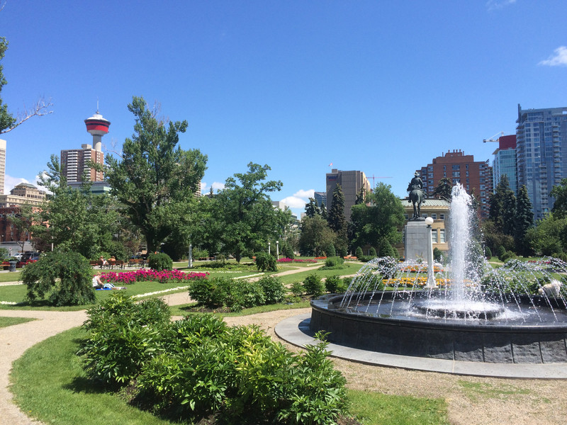 Central Memorial Park Calgary in summer