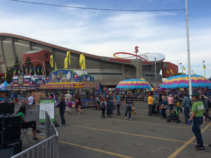 The GREAT FUNTIER - Stampede Grounds