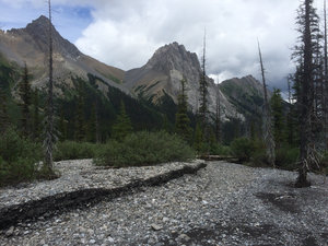 River bed in valley at Burstall Pass