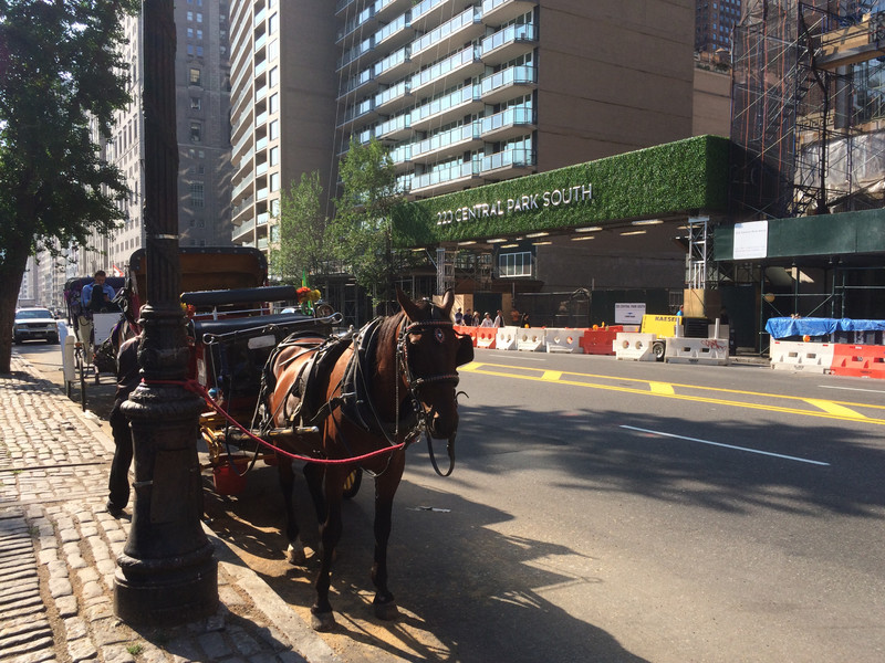 Horse and Cart near Central Park
