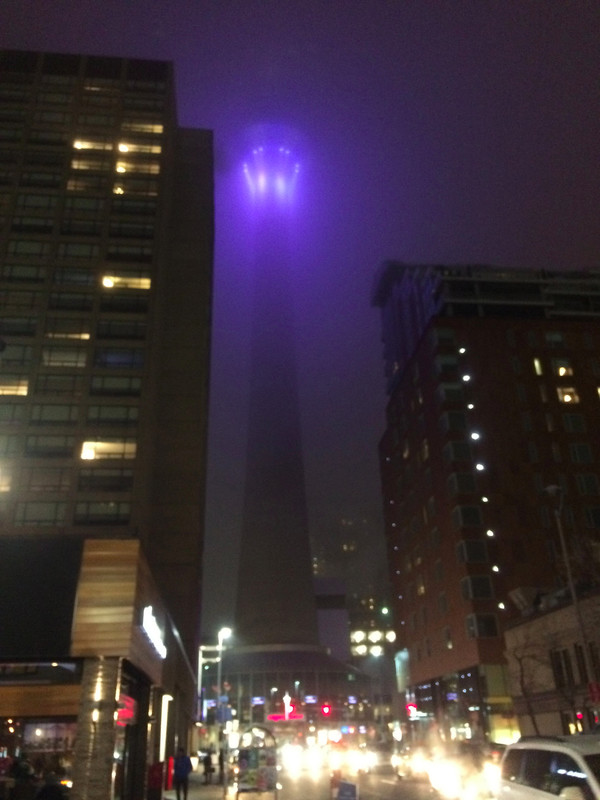 The tower covered by a winter's fog.