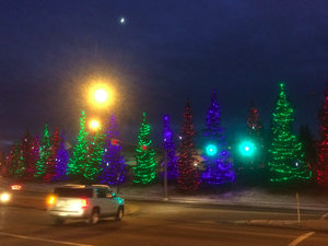 Lights near South Centre