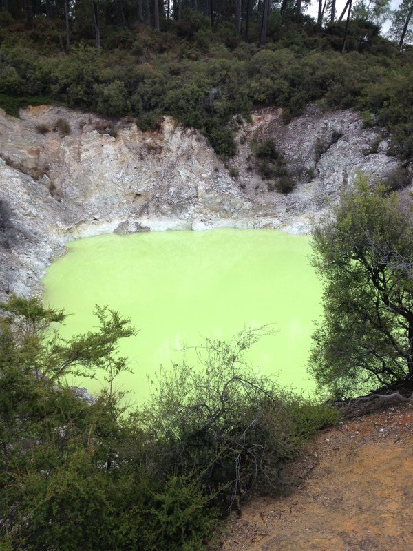 Coloured lake at Rotorua