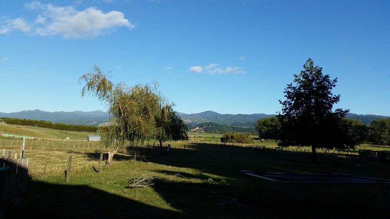 View from the farm.