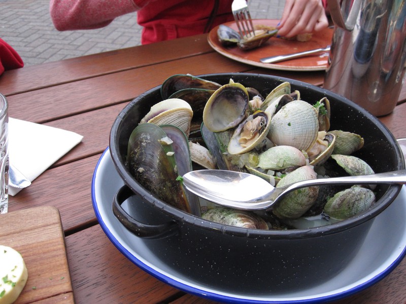 Green lipped NZ oysters & clams